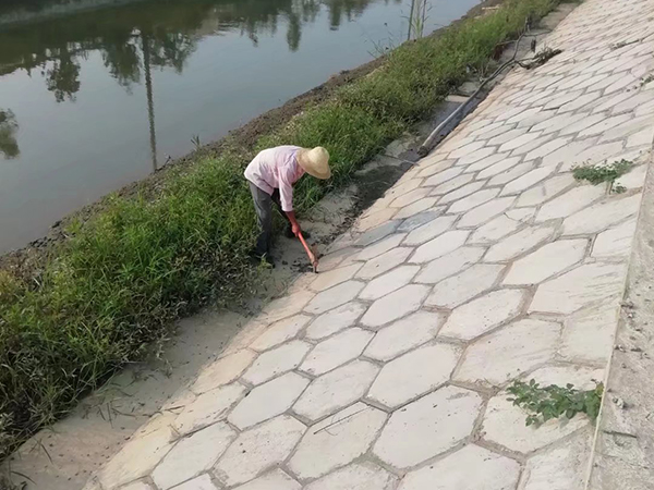 漢壽縣沅南澇區(qū)排澇能力建設(shè)項(xiàng)